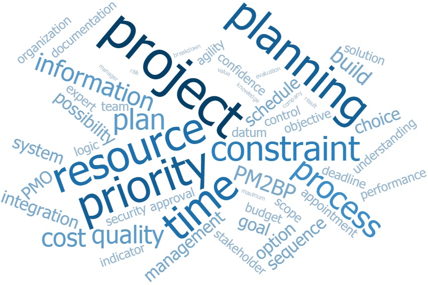 PM2BP word cloud PM2BP word cloud